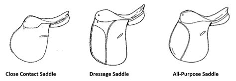 types of saddles | HORSE COURSES ONLINE