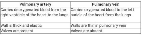 Difference Between Pulmonary Artery And Pulmonary Vein Is That