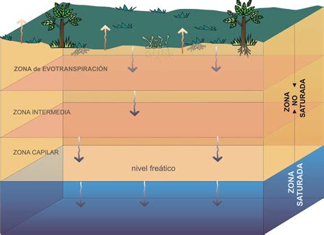 Intec Hidrogeolog A Y Simulaci N Del Flujo De Aguas Subterr Neas El