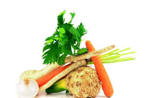 SEMENA - LEVNASEMENA.cz