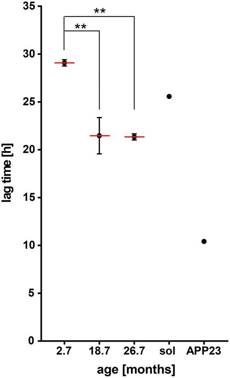 Frontiers Age Dependent Protein Aggregation Initiates Amyloid β Aggregation