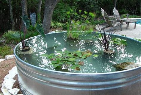 13 Peaceful DIY Container Water Garden Ideas For Container Gardeners ...