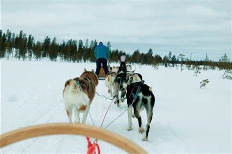 Laponia Finlandesa complejo turístico Viajar