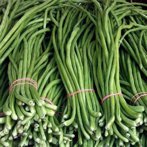 Buy Lobia Beans - Desi Vegetable Seeds online from Nurserylive at ...