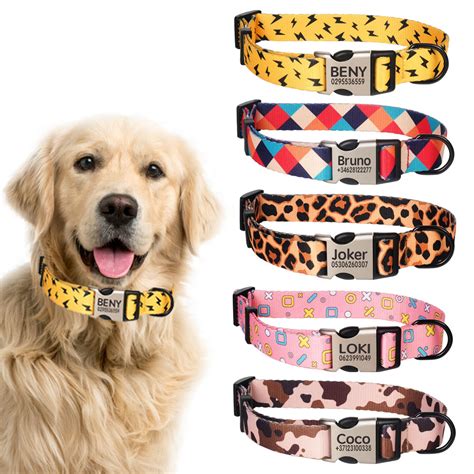 Estampado De Moda Personalizado Grabado Nombre Perro Collar Correa