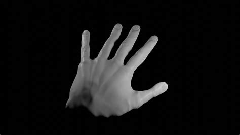 First time sculpting a Hand, what do you guys think? : r/blender