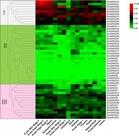 Frontiers Genome Wide Identification And Expression Analysis Of The