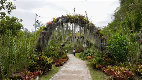 Parque Ecológico La Asunción un rincón en la zona 5 de la Ciudad de