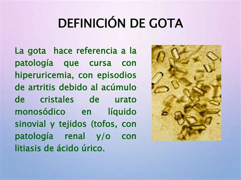 Hiperuricemia Y Gota PPT