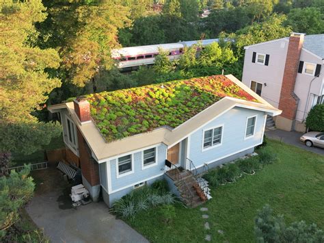 Img0026 1 Green Roof Green Roof Residential Green Roof