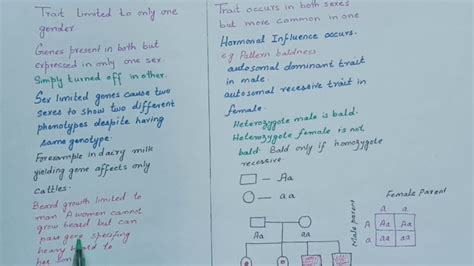 Sex Limited Traits And Sex Influnenced Traits YouTube