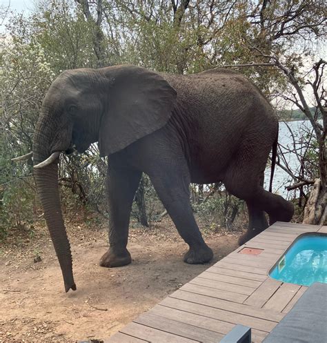 Bill Lynch’s Meandering Angler - The Sonoma Index-Tribune