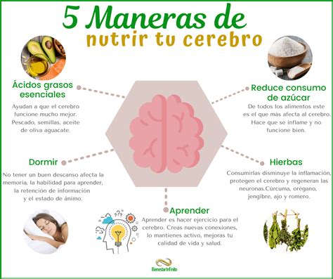 5 Maneras De Nutrir Tu Cerebro Bienestar Infinito