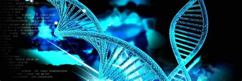 Hd Wallpaper Dna Spiral Genetics Twisted Wallpaper Flare