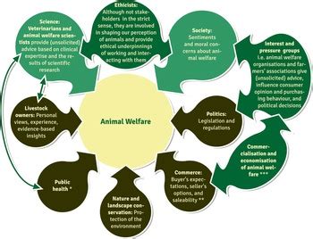 animal welfare definitions frameworks  assessment tools advancing