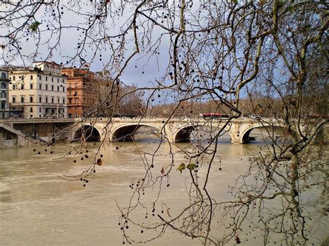 A Look At The River Tiber In Rome Delicious Italy