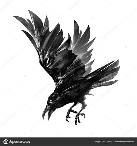 Dessin D Un Corbeau Dessin Vectoriel D Un Corbeau Volant Image