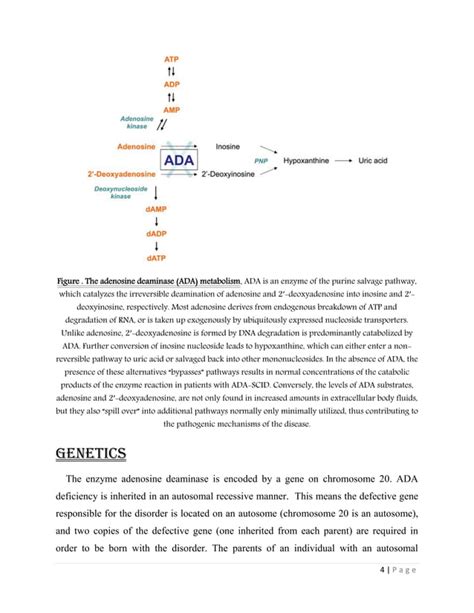 Adenosine deaminase (ADA) Gene Therapy