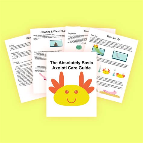 Digital Basic Axolotl Care Guide - Etsy