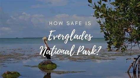 Is Everglades National Park Safe? (2023) - Hikers Daily