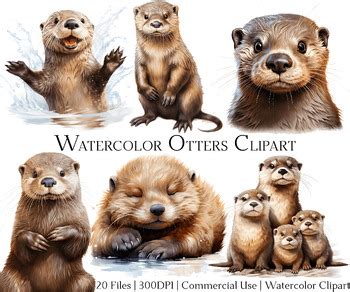 Watercolor Otter Clipart Set Of Files By Artistictimberstudio