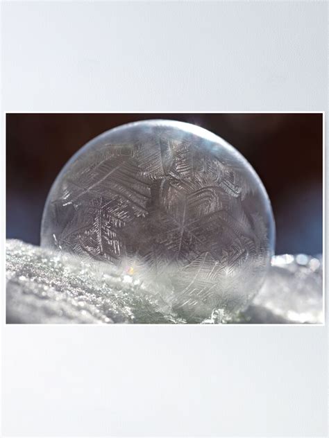 Frozen Soap Bubble Poster By Tjfox Redbubble