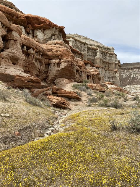 Red Rock Canyon State Park California Usa Rhiking