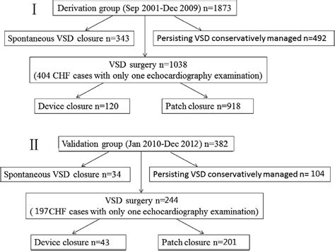 Figure From A New Scoring System For Spontaneous Closure Prediction