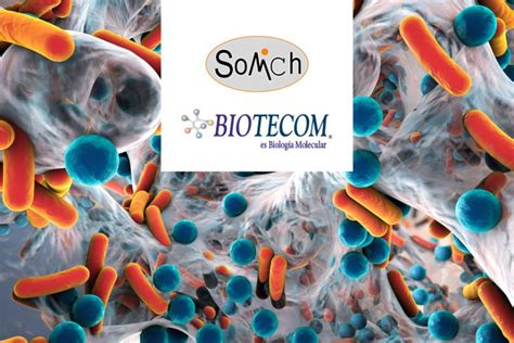 Premio Mejor Tesis Doctoral En MicrobiologÍa 2019 Somich Sociedad De Microbiogía De Chile