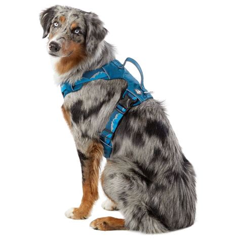 Arcadia Trail Lightweight Dog Harness In Blue Size Xl Dog Harness