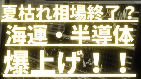 夏枯れ相場終了？海運・半導体爆上げ！！海運株 日本郵船 商船三井 川崎汽船 Youtube