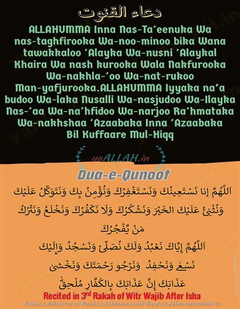 Meaning doa qunut english - kasapre