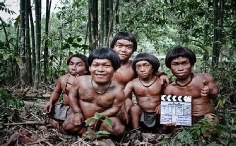 suku mante manusia  cm  diduga    hutan belantara aceh