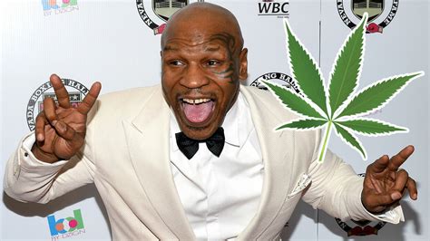 Mike Tyson has a marijuana farm and smokes $40,000 worth of weed a ...