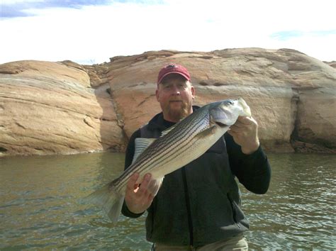 Lake Powell Fishing Report 03/04/11 – Ambassador Guides at Lake Powell