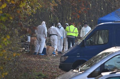 Meurtres Dans La Forêt Deux Personnes Ont été Arrêtées