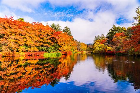 軽井沢随一の絶景に出会える！雲場池の観光ガイド Good Luck Trip