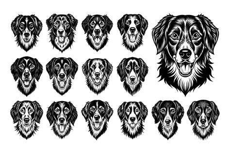 Ai Generated Front View Detailed Brittany Dog Head Design Template Set