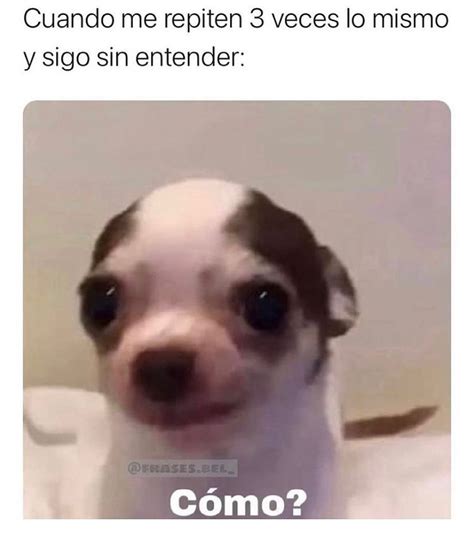 Cuando Me Repiten 3 Veces Lo Mismo Y Sigo Sin Entender Cómo Memes