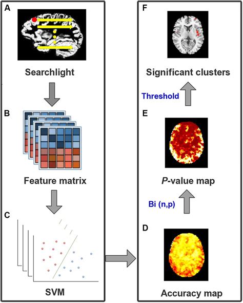 Frontiers Characterizing The Structural Pattern Predicting Medication