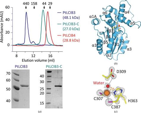 Iucr Structural And Biochemical Characterization Of Novel Carbonic