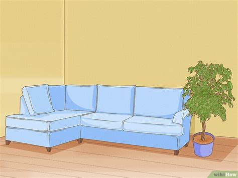 Cómo cuidar un ficus 10 Pasos con imágenes wikiHow