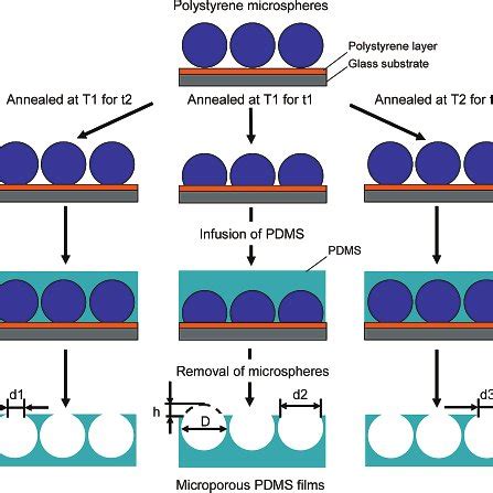 Sem Images Of Porous Pdms Films Using M Polystyrene Microspheres