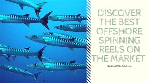 Discover The Best Offshore Spinning Reels On The Market!