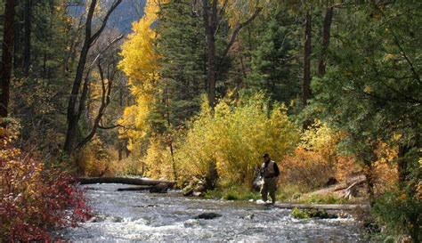 Medicine Bow National Forest | The Sights and Sites of America