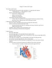 Understanding The Cardiovascular System Components And Function