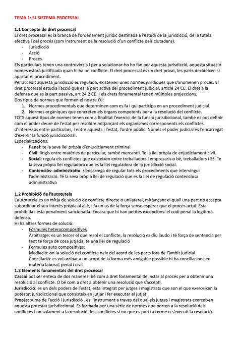 Tema Processal Tema El Sistema Processal Concepte De Dret