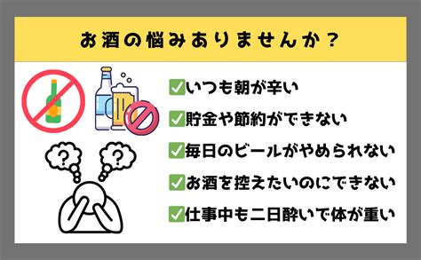 Jp 断酒せずに酒をやめる 習慣化のプロからアドバイス 毎日のビールがやめられないあなたへの新たな健康提案 Ebook