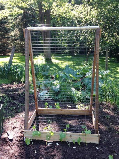 Make A Cucumbersquash Trellis From Scrap Wood Cucumber Trellis