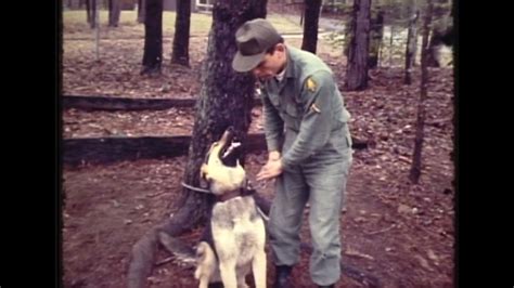 Dennis Martin Mystery 50 Years Of Life Saving Lessons